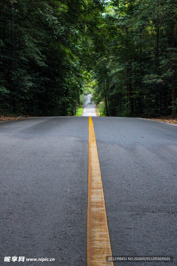 道路