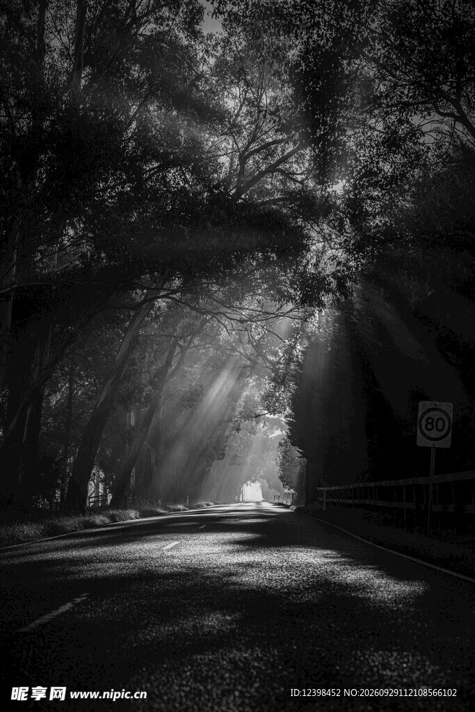 公路