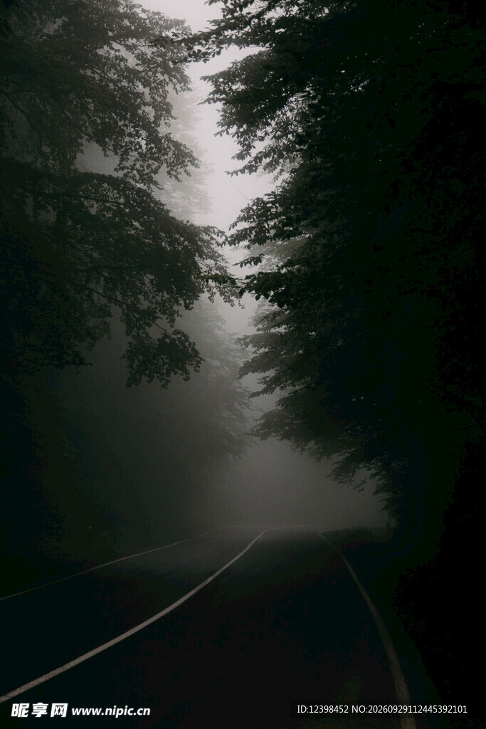 道路