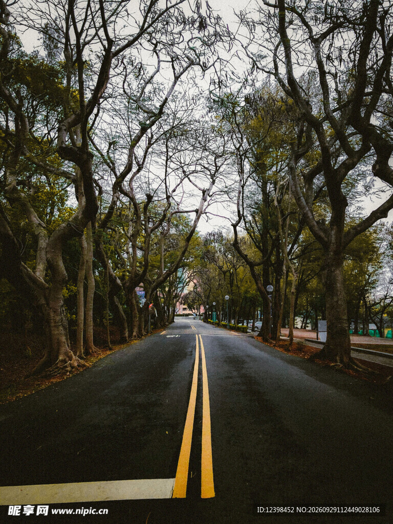 公路景观