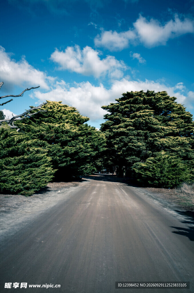 公路景观