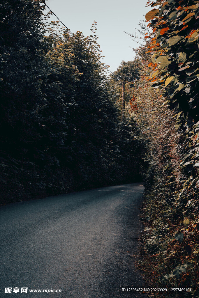 道路