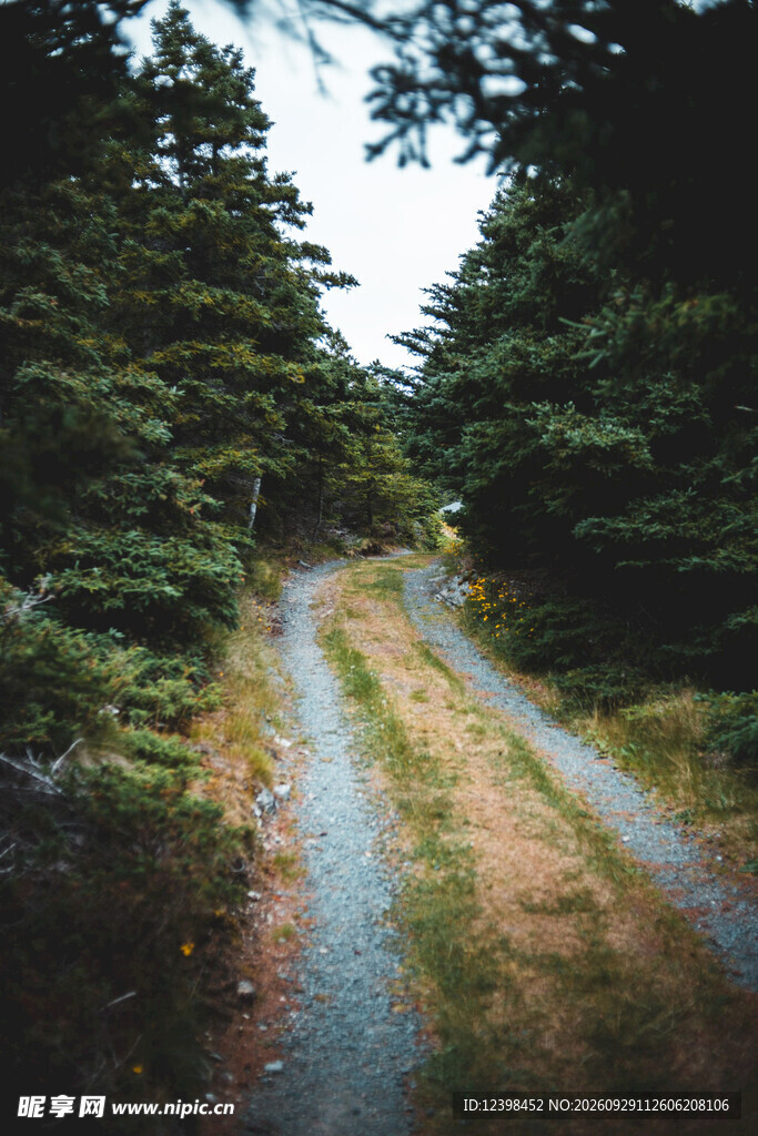 公路景观