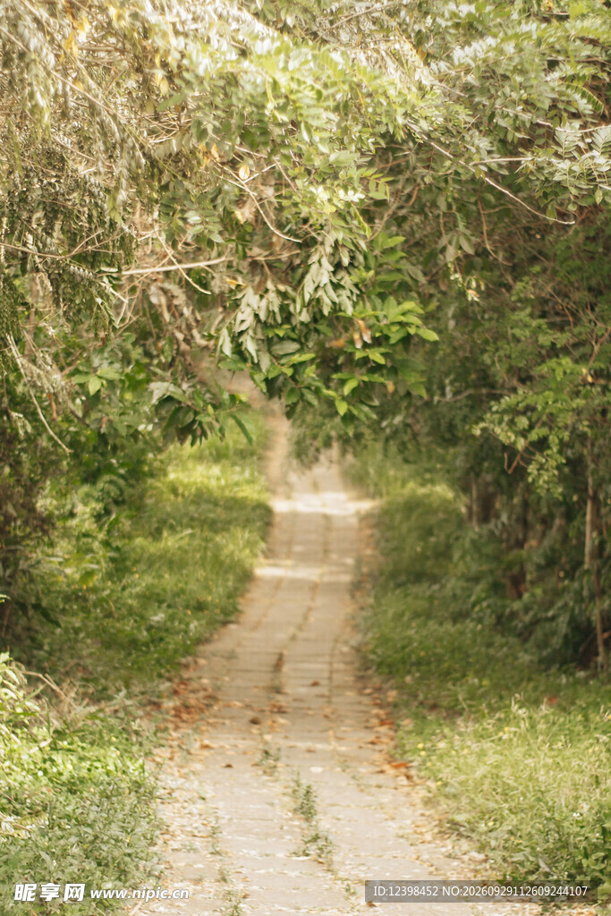 公路景观