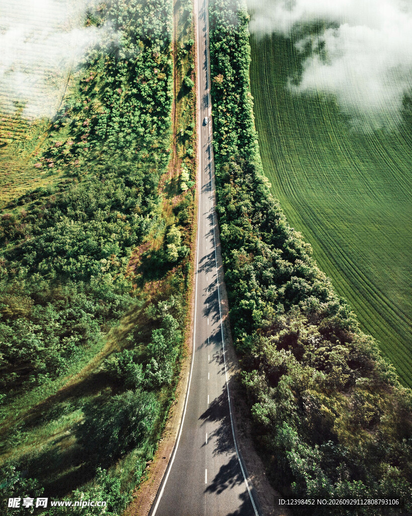 道路