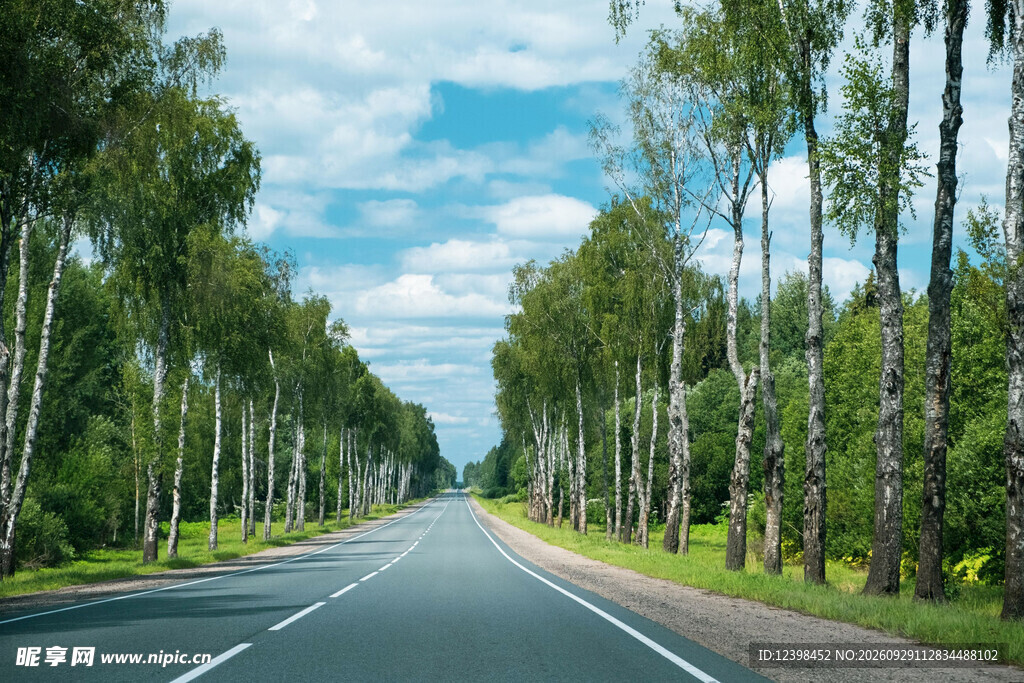 道路