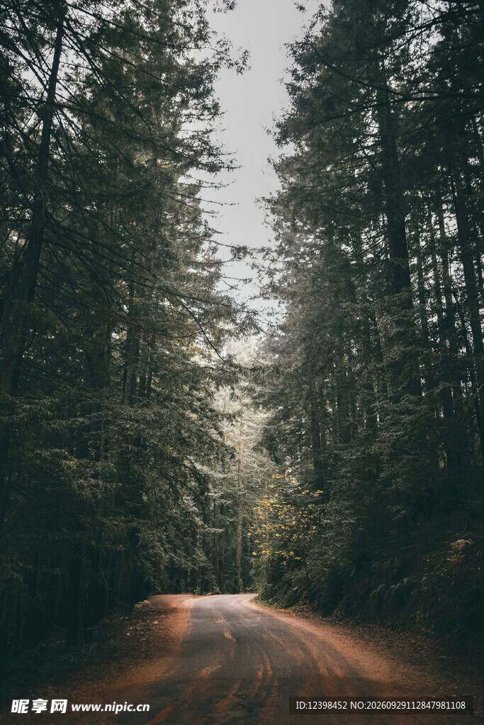 道路
