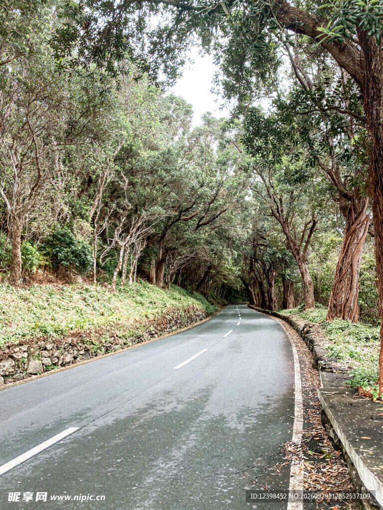 公路景观