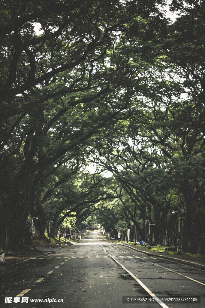 公路
