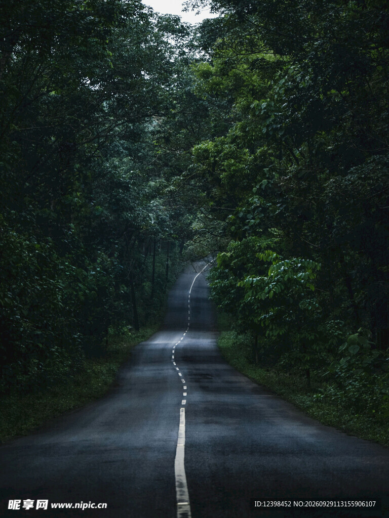道路