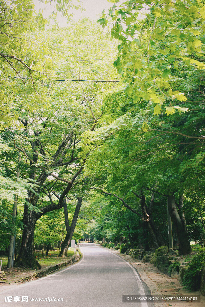 公路