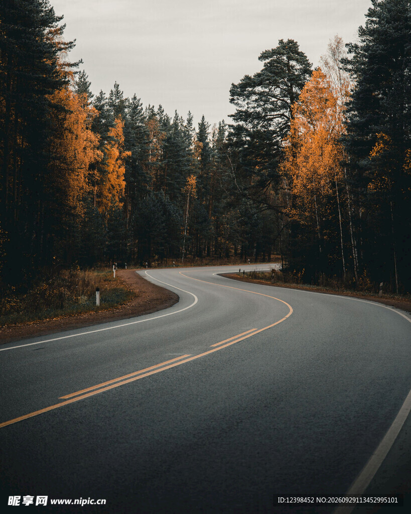 道路