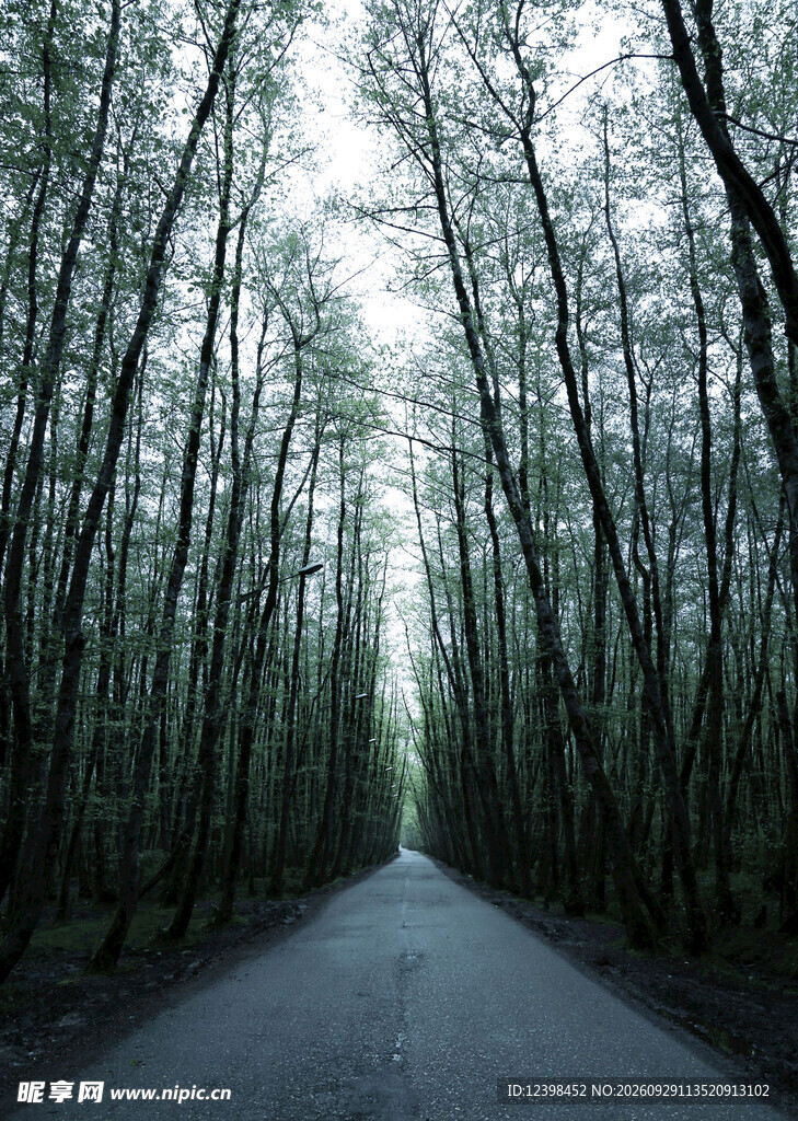 公路