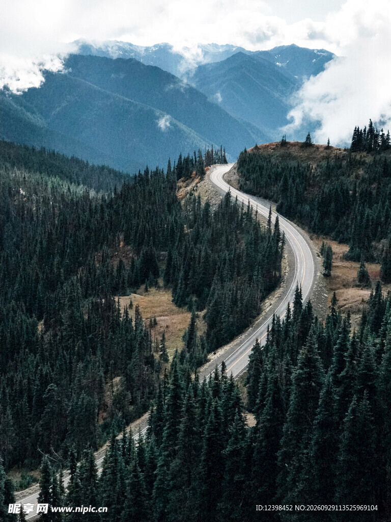 道路