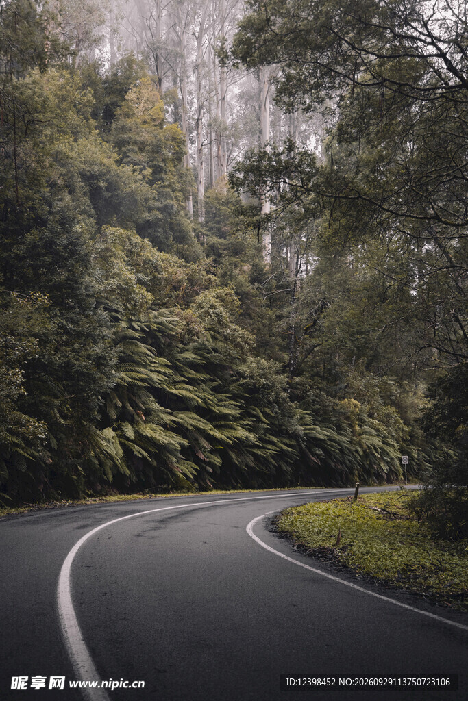 公路景观