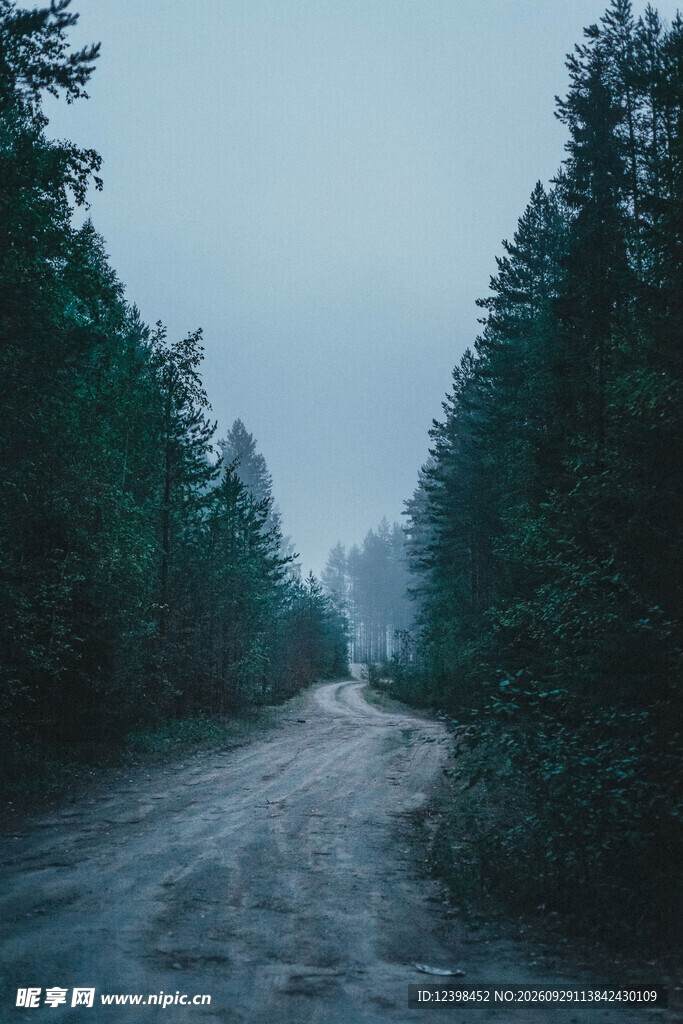 公路景观