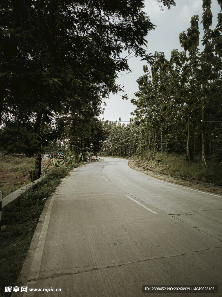 道路