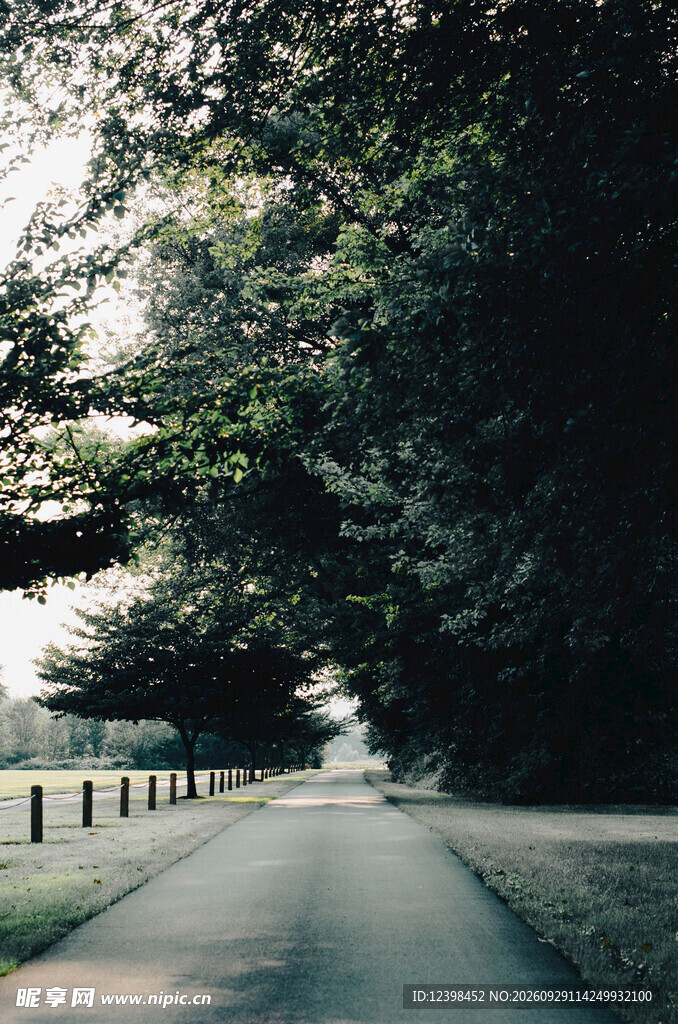 道路
