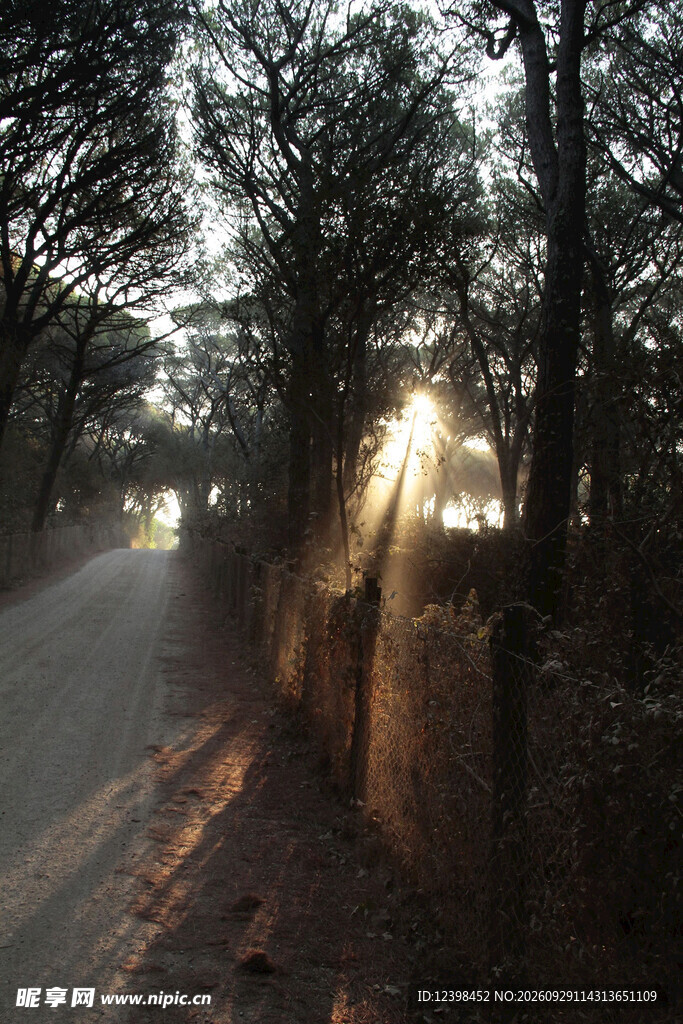 道路