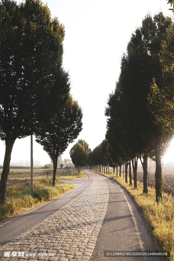 公路景观