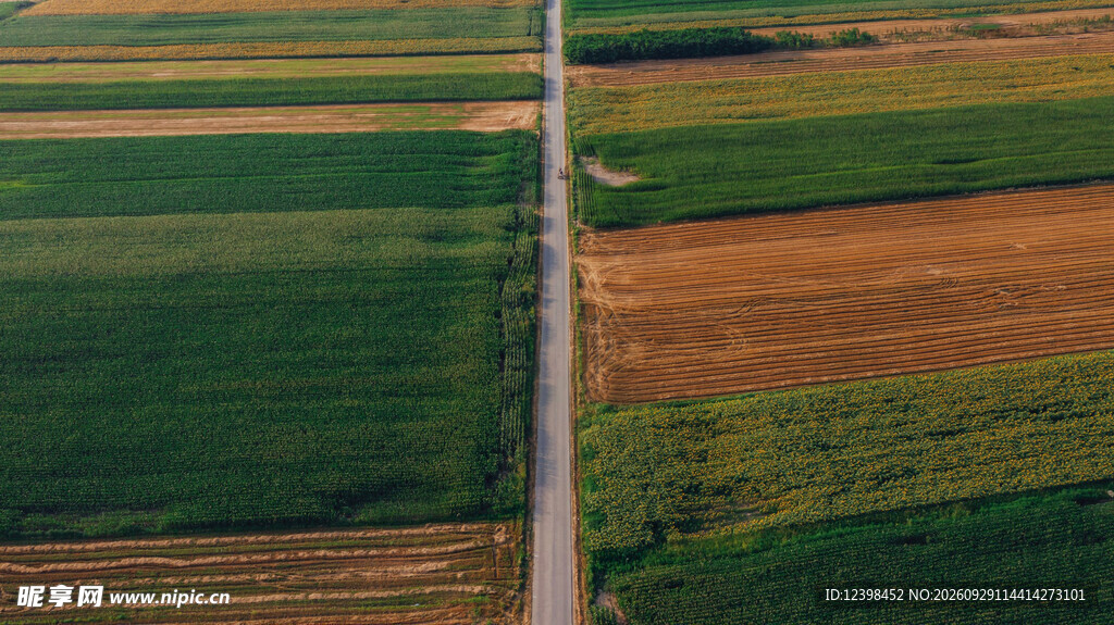 公路景观