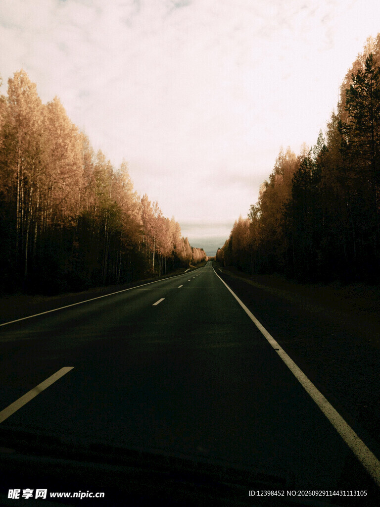 公路景观