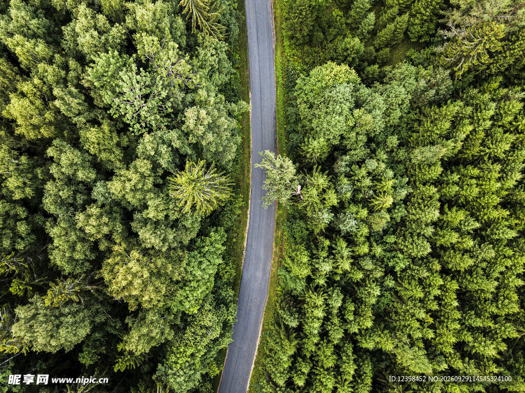 道路