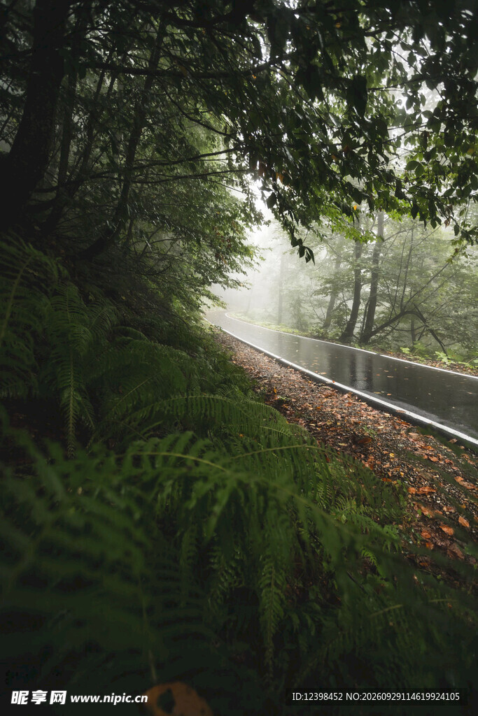 道路