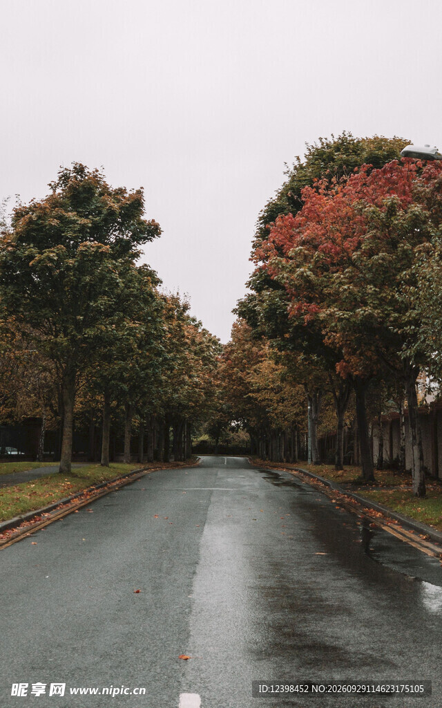 公路景观