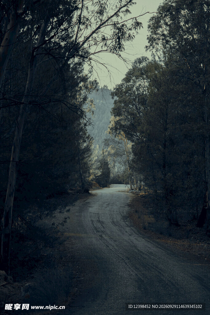 公路景观