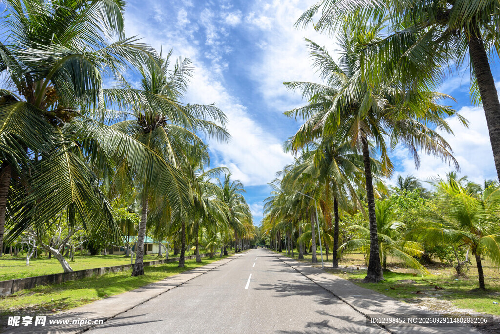 公路景观