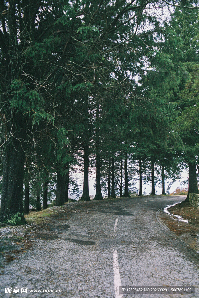 道路