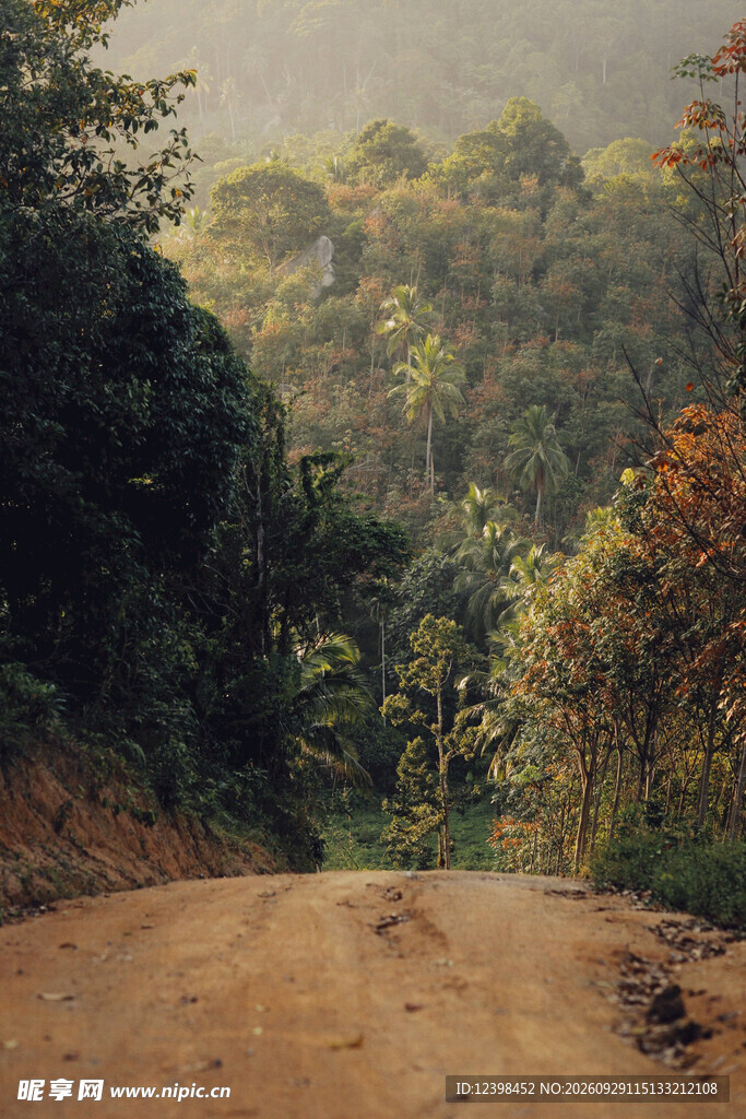 公路景观