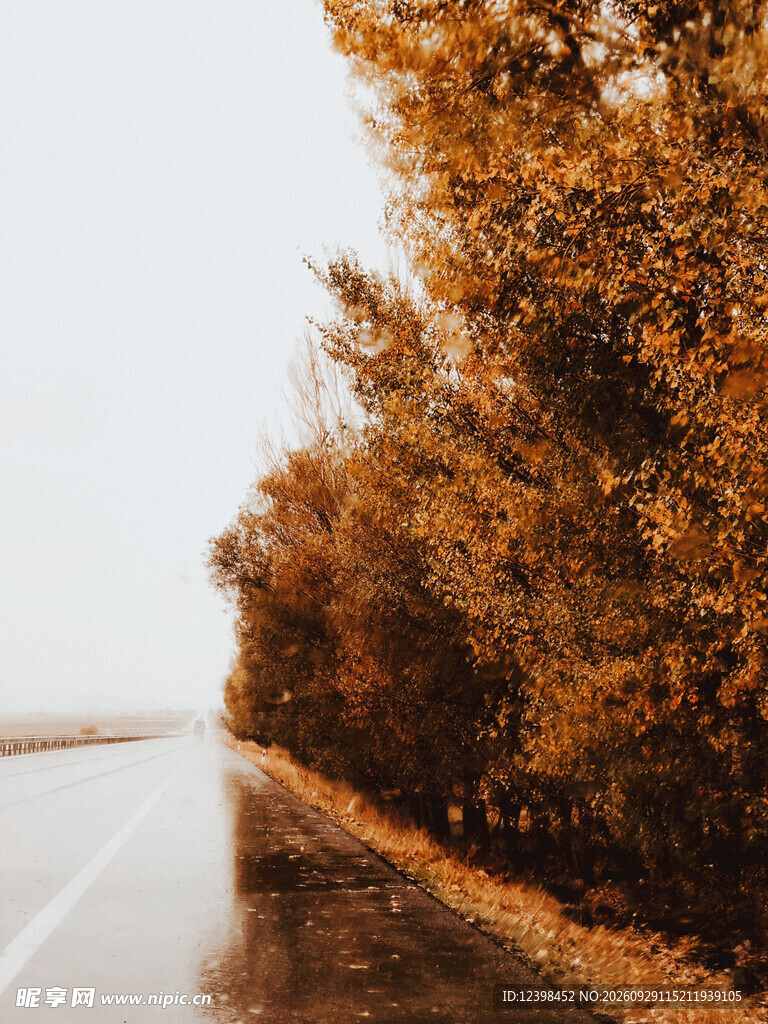 公路景观