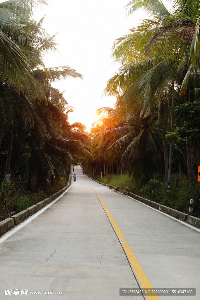 公路景观