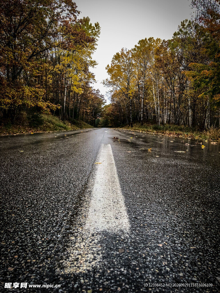 道路