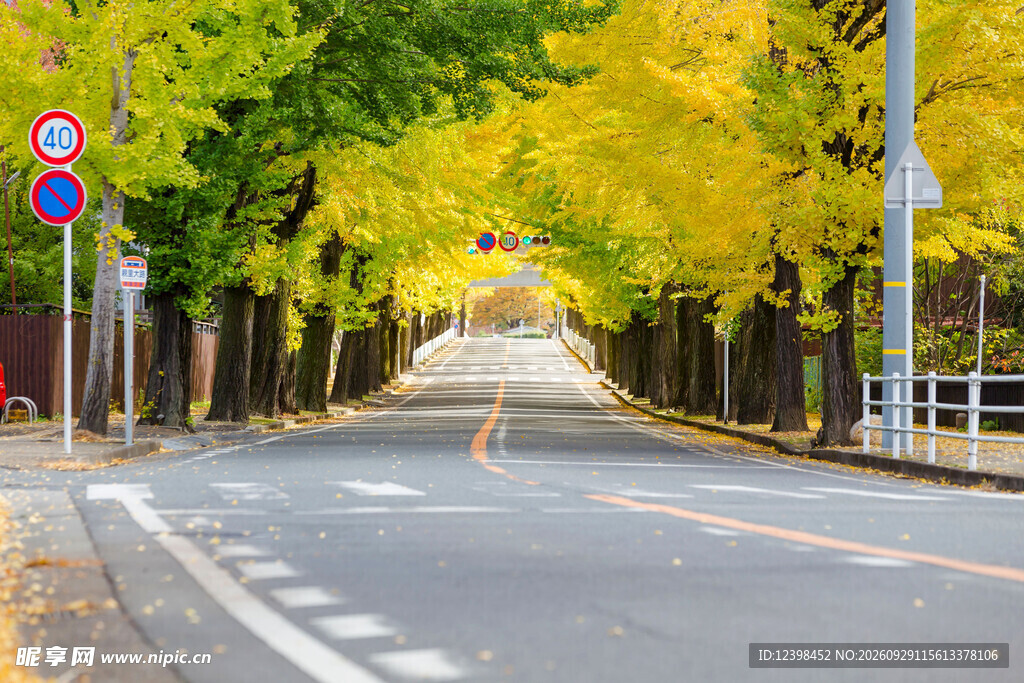 道路