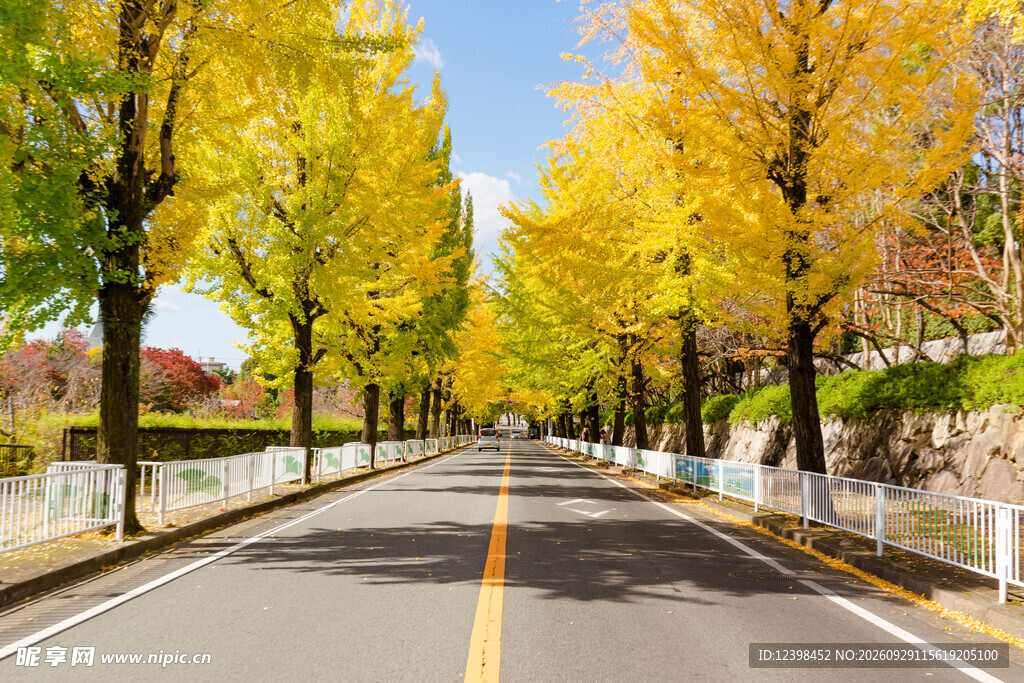 道路