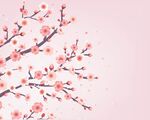 粉色梅花背景