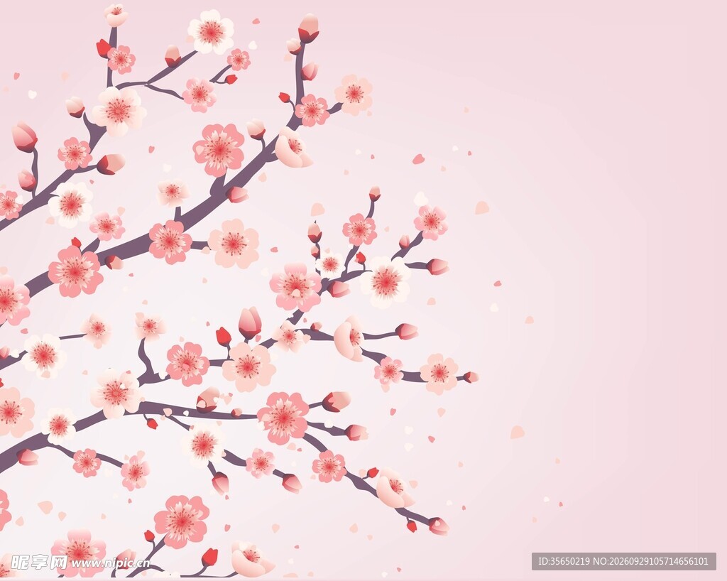 粉色梅花背景