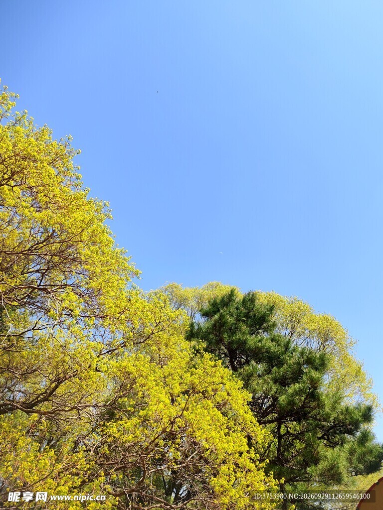 仰望秋季的天空