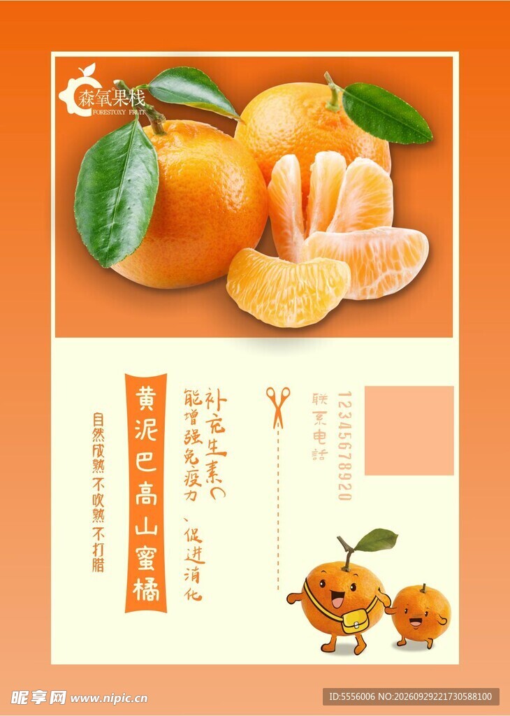 三明黄泥巴高山蜜橘