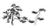 水墨国风松树插画