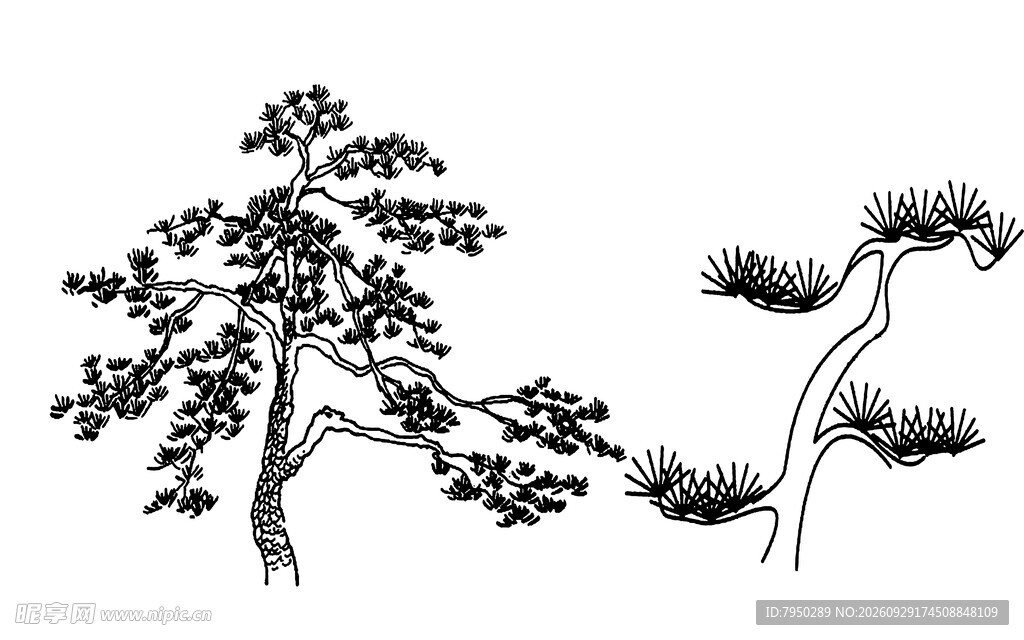 水墨国风松树插画