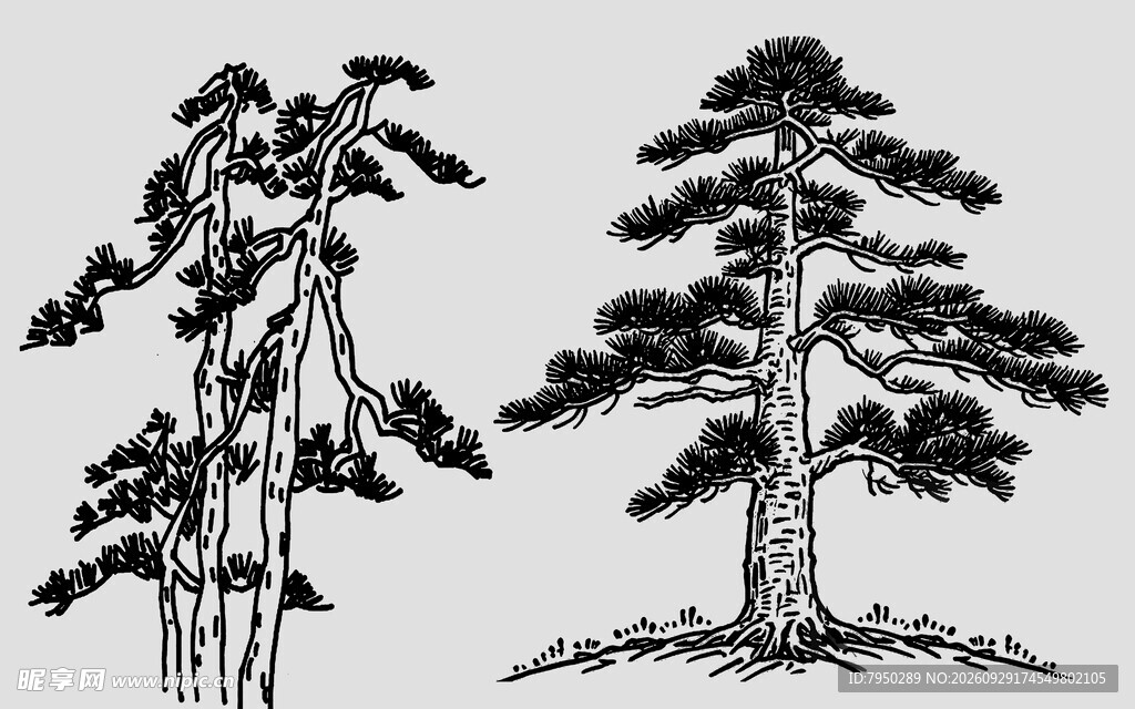 国风手绘树木黑白线稿