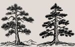 手绘双松素描素材