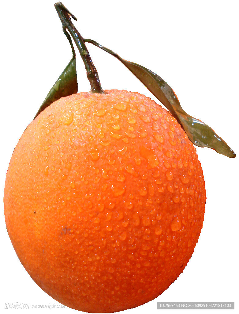 橙子