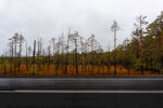 公路