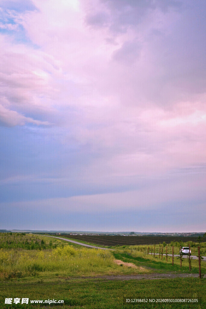 道路