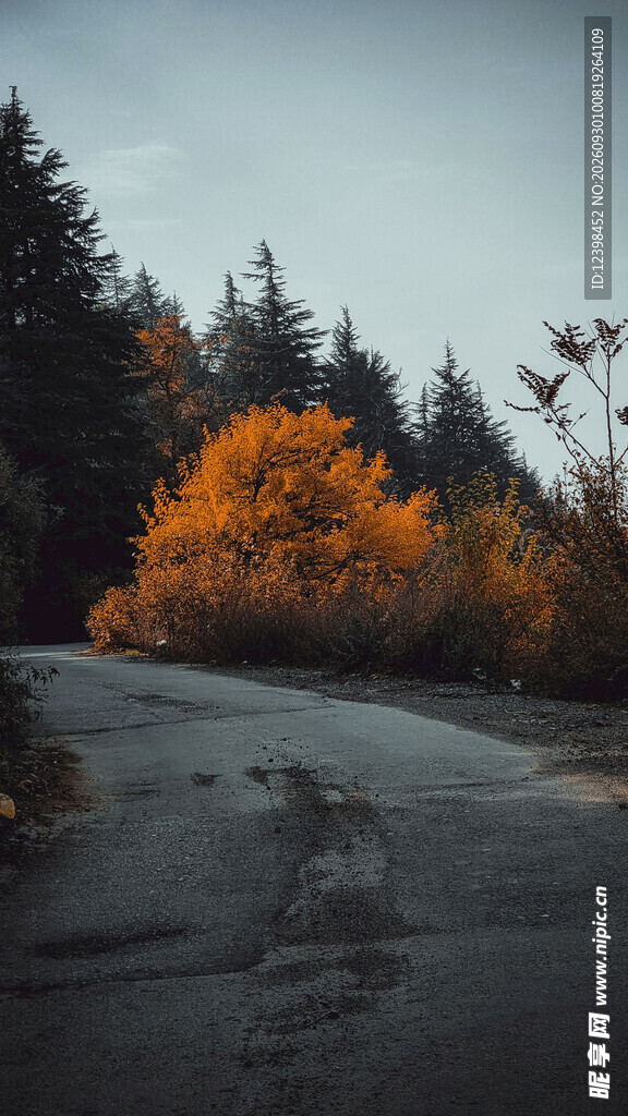 公路